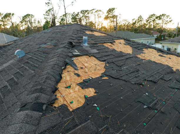 Best Wood Shake Roofing  in Doney Park, AZ