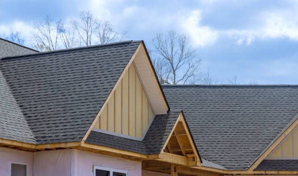 Best Solar Panel Roofing Installation  in Doney Park, AZ